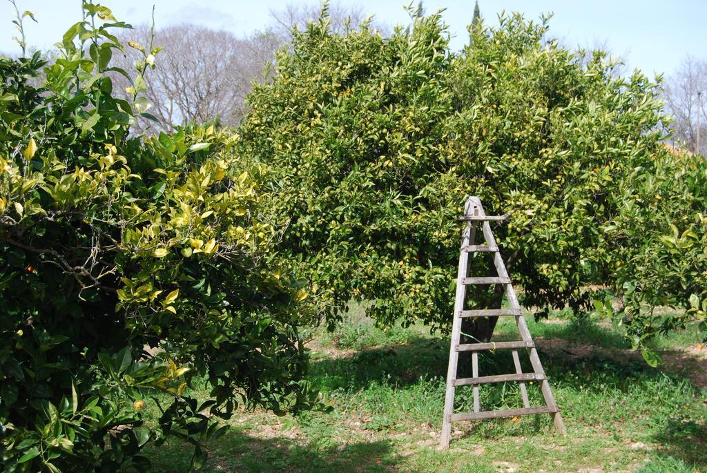 Finca Son Vivot Exteriör bild