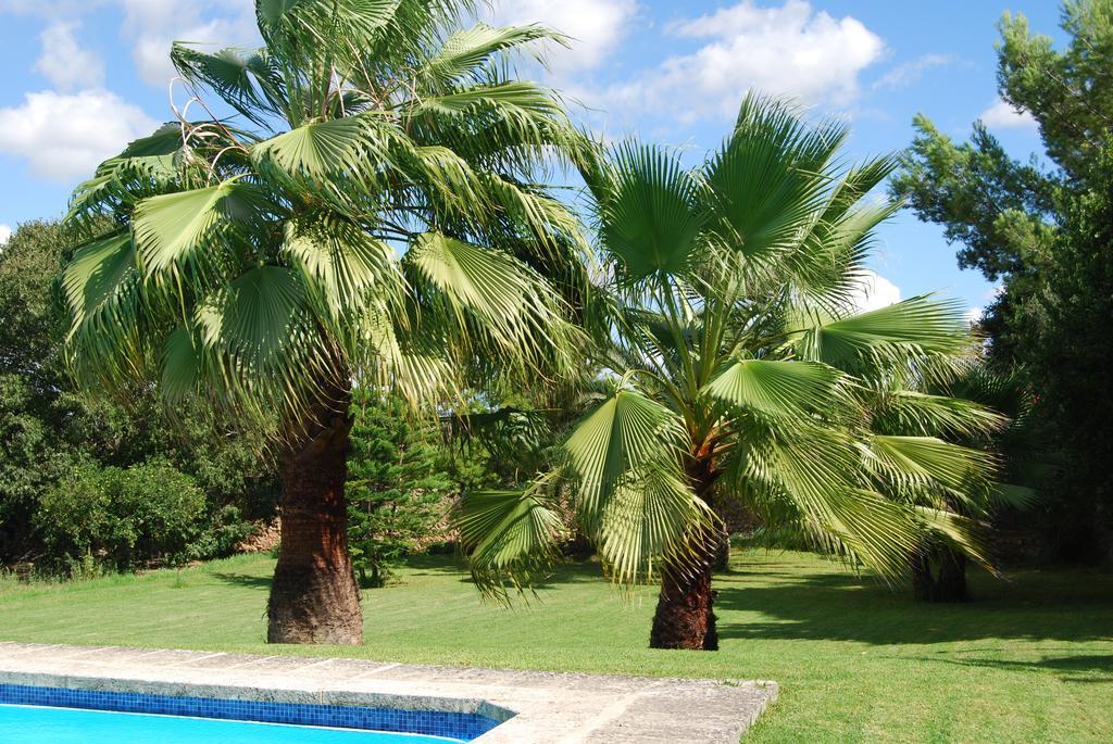 Finca Son Vivot Exteriör bild