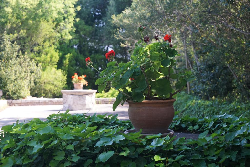 Finca Son Vivot Exteriör bild